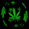 How To Grow Marijuana – Chapter 2 – Nutrients