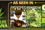 Lighting Is a Part of the Growing Elite Marijuana Guide