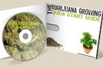 The Growing Elite Marijuana Guide Covers Everything